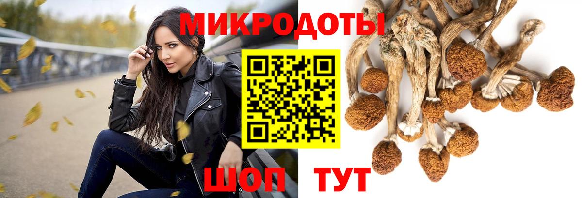 Псилоцибиновые грибы GOLDEN TEACHER  Псилоцибиновые грибы MAGIC MUSHROOMS  Вход с VPN  Ноябрьск 