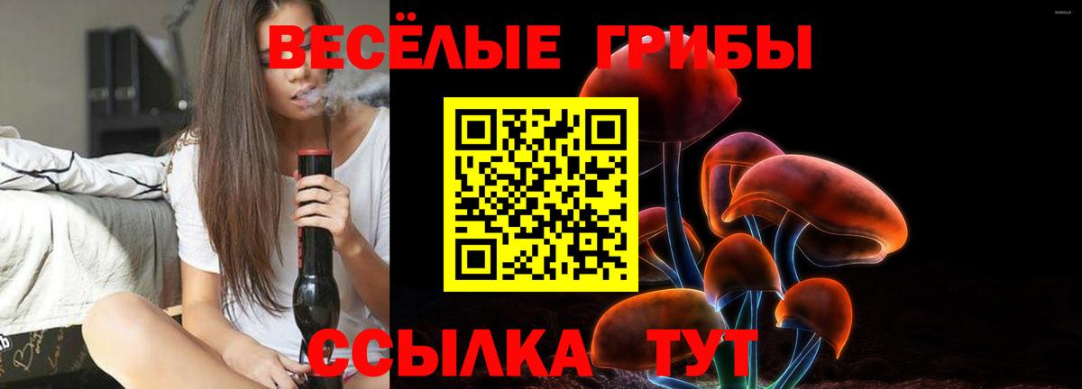 Псилоцибиновые грибы прущие грибы Ноябрьск